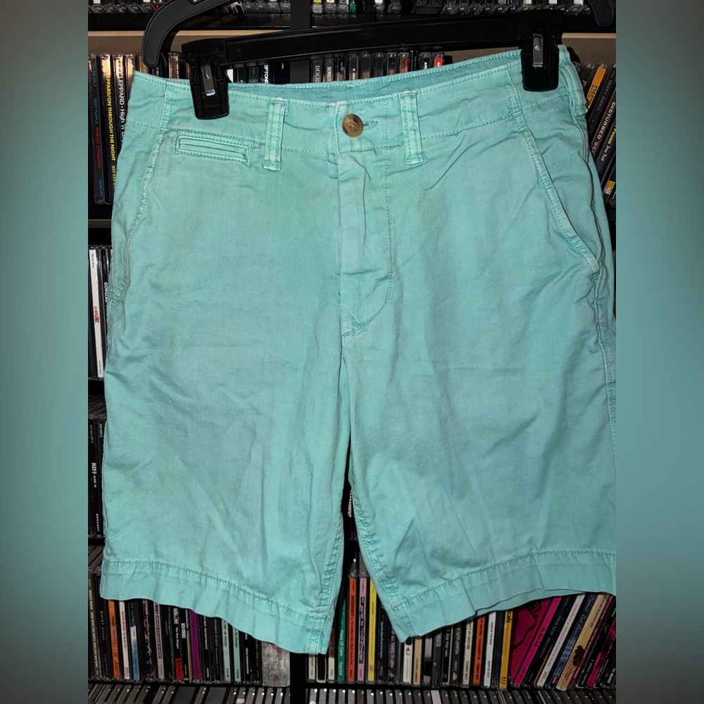 American Eagle Outfitters College Frat Preppy Y2K Light Blue Flat Front Shorts